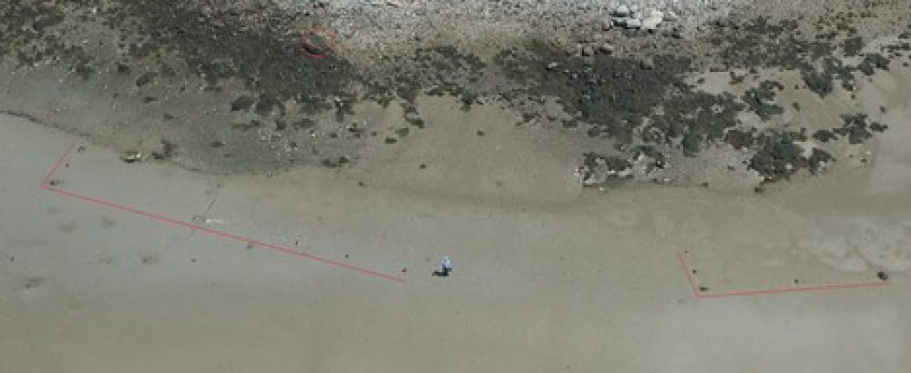 These red lines mark the rock features located by archaeologists