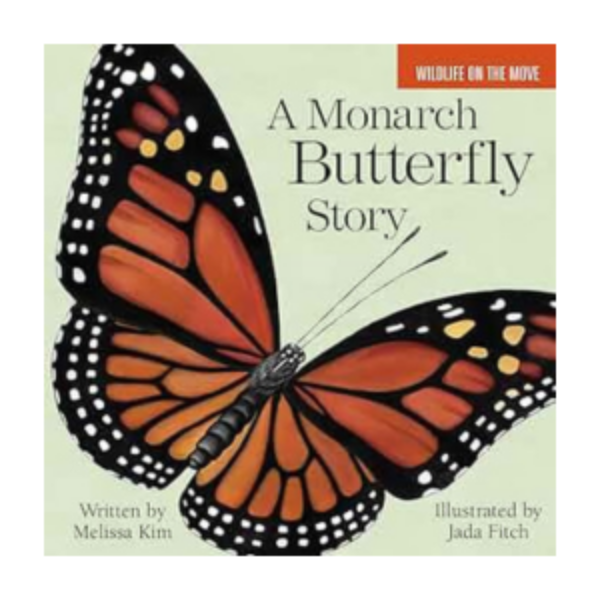 A Monarch Butterfly's Story (Board Book)