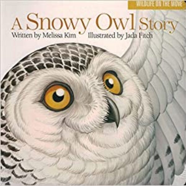 A Snowy Owl Story (Board book)