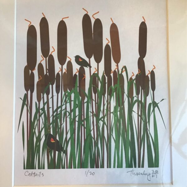 Cattails by Steve Thornley