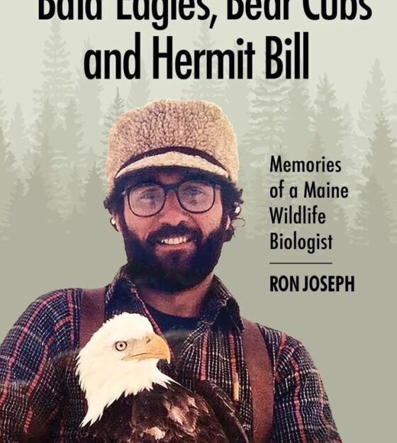 Bald Eagles, Bear Cubs, & Hermit Bill