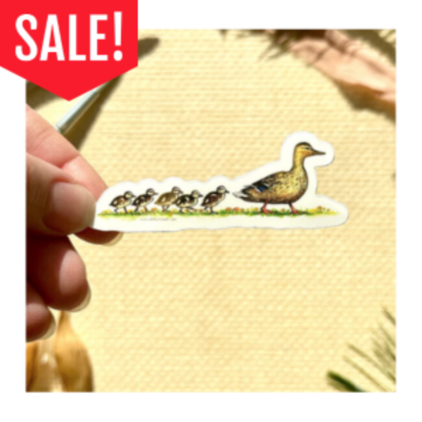 Ducks in a Row Sticker (BSM)