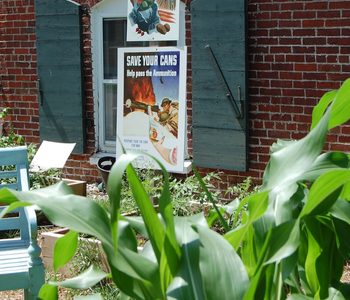 Outdoor Learning