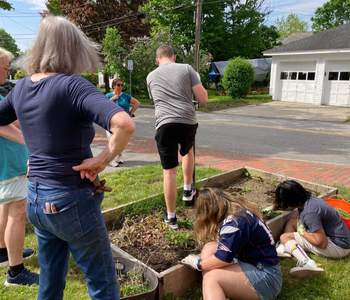 volunteersq_gardens