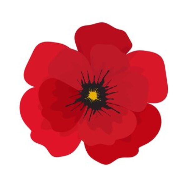 Paths of Courage: A Veteran Stories Tour